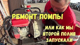 Ремонт Помпы!!!Второй полив свеклы!!!Заехали Ночные Гости кто это??