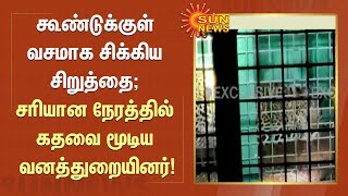 கூண்டுக்குள் வசமாக சிக்கிய சிறுத்தை; சரியான நேரத்தில் கதவை மூடிய வனத்துறை அதிகாரிகள் | Leopard