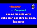 Leo Dan - Mosaico Karaoke (PZ music)