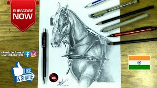 Drawing a Horse | SAKURA mechanical pencil overview | A.S Arts