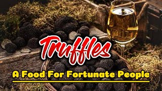 Truffles | Truffle Hunting | Rarest Food | Costliest Food | Eatable Fungus