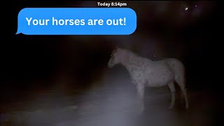 How did my Horses ESCAPE?!?! This was terrible timing!🥶