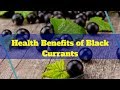 HEALTH BENEFITS OF BLACK CURRANTS