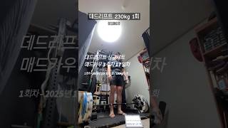 컨벤셔널 데드리프트 싱글세트 (2025.01.21 화 / 230kg*1회 / 매드카우(1) 3주차 17일차)