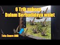 RAHASIA SUKSES BUDIDAYA BURUNG WALET || Mulyadi show