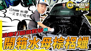 【科P傳教室】EP28  水母蠟是什麼?用水母做的嗎?拿M3做實驗了啦!~開箱水母棕梠蠟