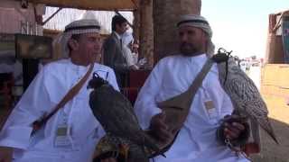 Short Documentary: UAE Falconers