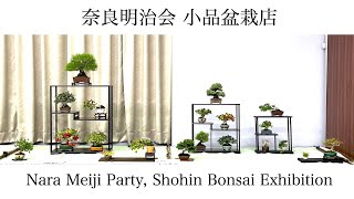 Nara Meiji Party, Shohin Bonsai Exhibition [4K]