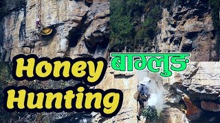 बाग्लुङ  Honey Hunting डरलाग्दो तारे भिरमा मह शिकार ।। Honey Hunting Documentary