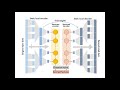 Extraction and Interpretation of Deep Autoencoder-based Temporal Features from Wearables...