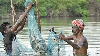 சின்ன இடத்தில் எவ்ளோ அதிகமான மீன்கள் பிடிக்கிறோம் How many fish can we catch in a small space?