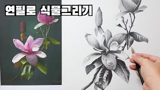 감성 가득한 연필드로잉 - 꽃그리기