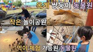 [ 안서야 놀자  ] 220521  강릉3. 쌍둥이동물농장ㅣ 동물들 먹이 체험 가능한 동물농장 ㅣ 자그마한 놀이공원에서 놀고 왔어요~ ㅣ 가족이야기