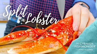 How to Split and Dress a Lobster