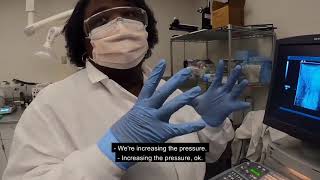 Virtual Lab Tour: Biomedical Engineering with Dr. Kennita Johnson at UNC-Chapel Hill