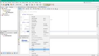 Hello World (Beginner Program) using Java and Netbeans 11