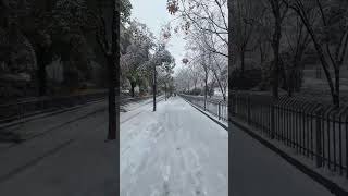 武汉下雪了！ #china #street #武汉 #walk