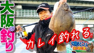 大阪のカレイ釣り♪ 来ればデカイぞ空連道（くうれんどう）