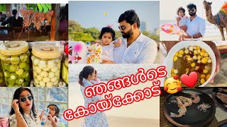 Kozhikode 😍🥰l vlog l കോഴിക്കോട് നഗര കാഴ്ചകൾ 😍l  calicut Beach 🌊🌊l Anjali ❤️