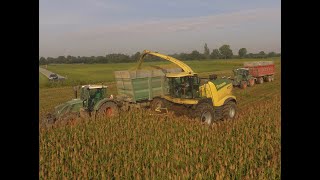 Trinciato sorgo 2020 / Sorghum Silage / Krone Big X 880 / Fendt 942 S4 / Az. Agr. La Castellana