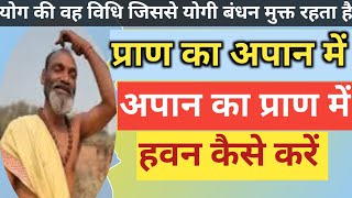 प्राण का अपान में अपान का प्राण में हवन | Prana Apan ka Havan Kaise karein ?