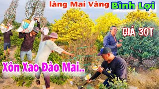 Làng Mai Bình Lợi\