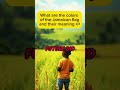 What’s so unique about Jamaica? #flag #unique #trending #viral #jamaica