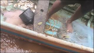 ಕರಾವಳಿ ತೀರದ ಬಳಿ ಮೀನು ಹಿಡಿಯುವವರ ಹಾವಳಿ🐟🐟