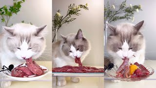 【珍珠米超珍】🐱#8 沉浸式吃播 ASMR 生骨肉 鸭小胸大餐+没吃饱，想加肉！