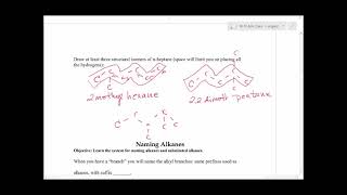 C22 C23 Organic Naming Isomers