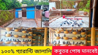 জালালি কবুতর পোষ মানানোর উপায় | কবুতর পোষ মানানোর পদ্ধতি | কবুতর পালন পদ্ধতি| কবুতরের ঘর তৈরির নিয়ম