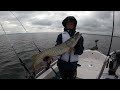 massive lures land monster pike