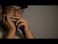 chromatic harmonica. gypsy jazz dark eyes csardas【oritta customized harmonica ad 14】口琴演奏查尔达什舞曲 黑眼睛