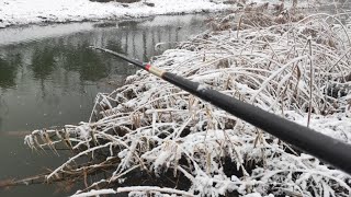 气温骤降，大雪纷飞，为啥还说这天气好钓鱼？测完水温后全明白了