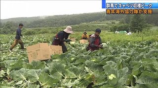 人手不足の農家を支援　青年海外協力隊「やりがい」(20/07/25)