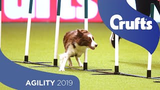 Agility – Crufts Singles Final: Small, Medium and Large | Crufts 2019