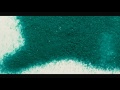 Forevermore - Pandemica