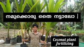 How to  plant Coconut tree |നമുക്കൊരു തൈ നട്ടാലോ | easy fertilizing...