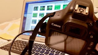 How to Transfer Pictures From Canon Camera to Mac