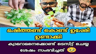 മഷിത്തണ്ട് കൊണ്ട് ഉപ്പേരി ഉണ്ടാക്കിയപ്പോൾ സംഭവിച്ചത് 🥲