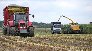 Mais hakselen 2019 - Nijmeijer Kuipers - MAN-Fendt-Massey - Maize - Zbiór kukurydzy - Ensilage