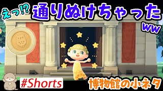 【 あつ森 】 まるで通りぬけフープ！？博物館を手持ちカメラで見ていたら…？ #Shorts | 小ネタ | あつまれどうぶつの森