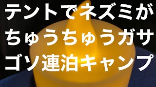 3泊4日年末キャンプ沖縄ネイチャー未来館キャンプ場シナモンクローブホットワイン米粉お好み焼きシークァーサー人参サラダ