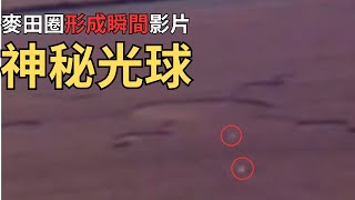 【不正常研究所】麥田圈形成瞬間鏡頭捕獲「神秘光球」