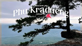 VLOG #12 Phu Kradueng, Loei 2022 #onceinmylifePhuKradueng