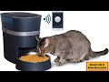 PetSafe Smart Feed Automatic Dog and Cat Feeder Review