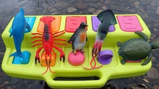 Pop Up with Sea Creature Toys