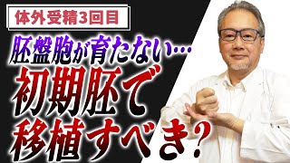 【妊活】胚盤胞までなかなか育たない…初期胚か胚盤胞を移植するか…