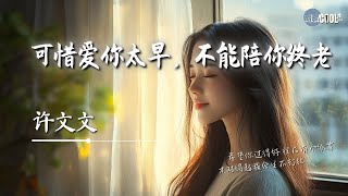 许文文 - 可惜爱你太早，不能陪你终老「除了你原来我谁都不想要」【🎧AI高质音乐 / 拼音歌词 Lyrics】