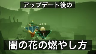 【Sky】最新版☆捨て地墓所(4エビエリア)の大きな闇の花の焼き方【星を紡ぐ子どもたち】